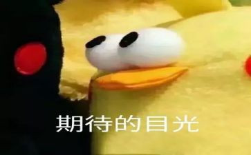 我期待作文最新7篇