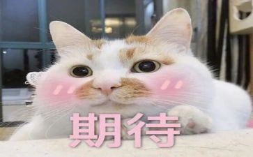 我期待作文300字优质7篇