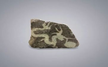《黄山奇石》教案5篇