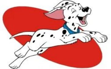 训练犬的心得体会优质7篇