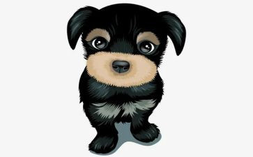 猎犬读后感6篇