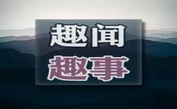 元旦趣事多作文8篇
