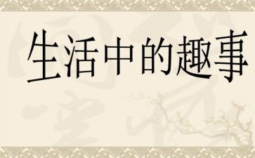 写趣事的作文300字作文最新6篇