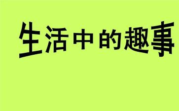 有趣事的作文500字5篇