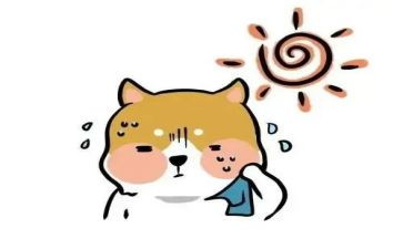 热预防传染病讲话稿7篇