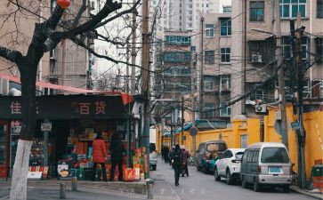 人间世读后感400字5篇