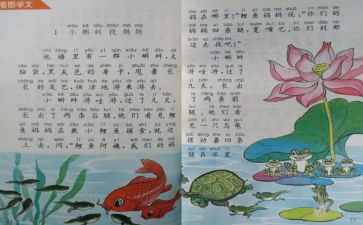 人教版七年级历史教学总结6篇