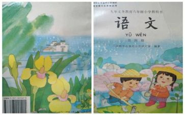 个人教学化学工作总结范文8篇