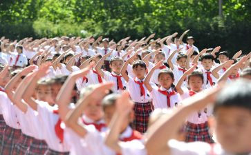 小学申请入队的申请书6篇