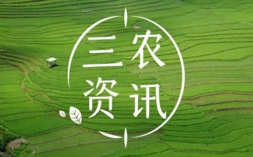 三农问题心得体会5篇