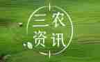 三农问题心得体会5篇