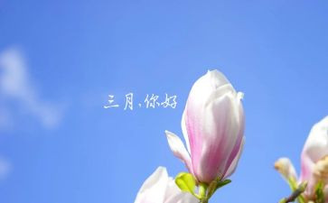 三月份幼儿教师工作总结6篇