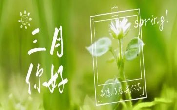三月新工作总结范文8篇