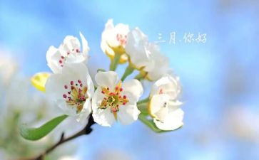 工作三月总结通用5篇