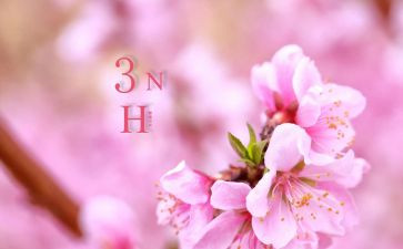三月物业工作计划7篇