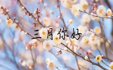 学生三月总结6篇