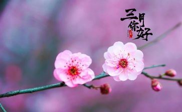 工作三月总结参考5篇