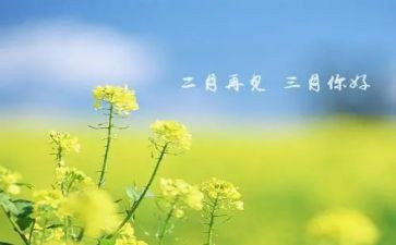 2024年幼儿大班三月总结8篇