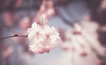 蒙氏幼儿园三月份工作总结8篇