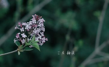 教师三月总结8篇