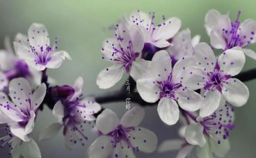 我在三月作文7篇