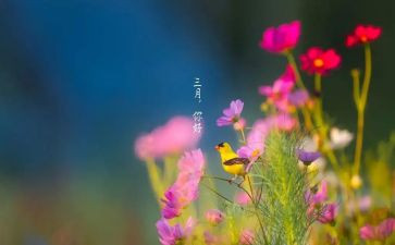 三月份工作总结7篇