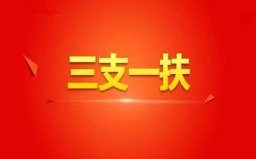 三支一扶办工作总结模板6篇