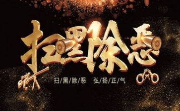 扫黑除恶2024年工作总结8篇