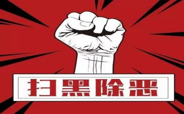 扫黑年度工作总结5篇