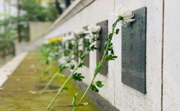 小学生去扫墓作文优质6篇