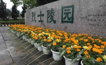 扫墓讲话稿8篇