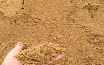 富饶的西沙群岛教案5篇