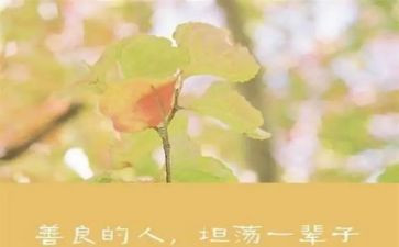 友善的演讲稿范文7篇