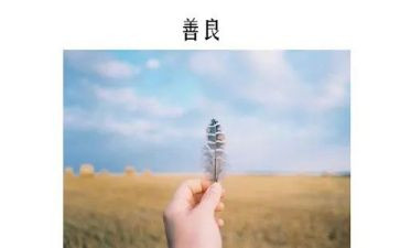 善良的利与弊作文最新8篇