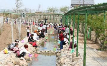 庵上湖学习调查报告5篇