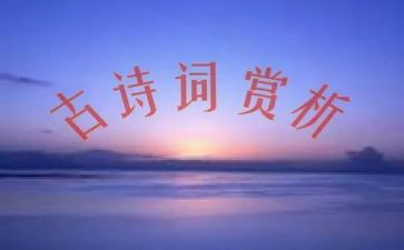 带读后感赏析的作文7篇