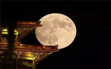 中秋赏月作文600字作文最新7篇
