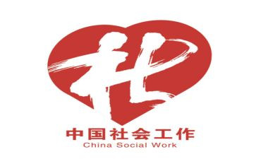 社工的个人总结通用5篇