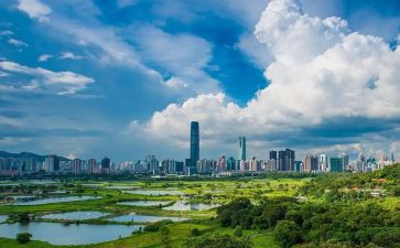 深圳的作文400字5篇