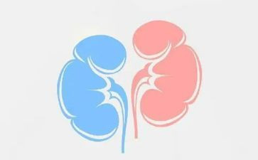 肾内科年工作计划5篇