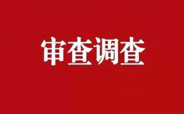 审查和调查报告5篇
