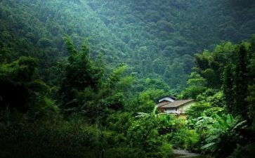 作文心灵深处的爱600字7篇