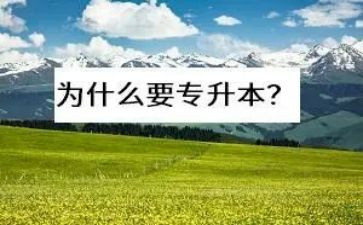 专升本心得体会6篇