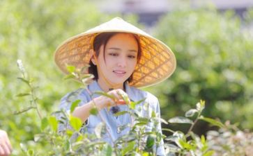 生活处工作计划7篇