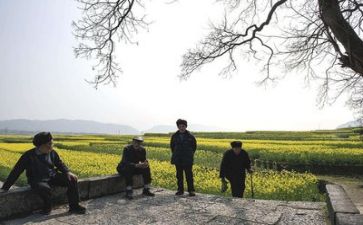 生活部工作总结及个人总结通用5篇