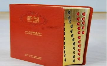 圣经的故事的读后感8篇