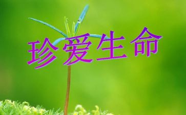 关于爱生命的作文模板6篇