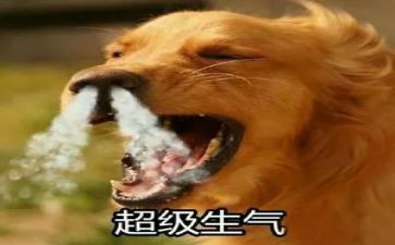 生气的我作文推荐8篇
