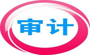 审计人年终工作总结优质8篇