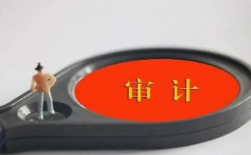 2023年医院审计工作总结6篇
